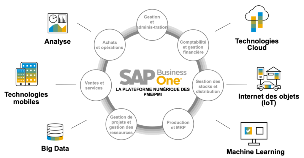 SAP-B1-Inovadex-Consulting 